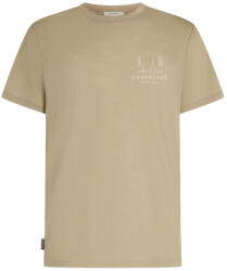 Icebreaker Merino 150 Tech Lite SS Tee Peaceful Pass férfi póló XL (198265722963)