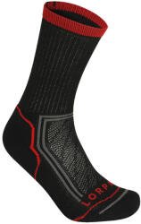 Lorpen TTPE TREKKING LIGHT THERMIC ECO zokni 39-42 (8445042937822)