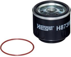 Hengst Filter filtru combustibil HENGST FILTER H873WK D950 (H873WK D950) - automobilus