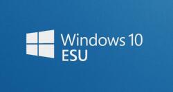 Microsoft Windows 10 ESU Year 3 (2027 - 2028) (DG7GMGF0SSGZ/skus/0002)
