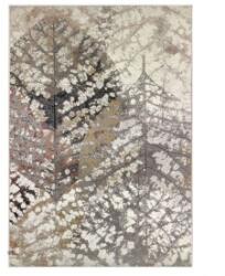 Delta Carpet Covor Dreptunghiular, 118 x 170 cm, Bej / Crem / Maro, Model Anny 33001 (ANNY-33001-160-11817) Covor