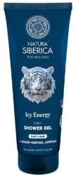 Natura Siberica Arctic Wild Icy Energy 2-in-1 Shower Gel 200 ml