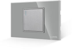 Luxion Intrerupator Simplu Mecanic LUXION cu Rama din Sticla, Standard Italian, 2/3M - culoare gri