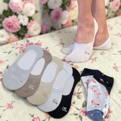 Aura Via Balerina titokzokni szett - 5 pár macika minta 35-38 119143