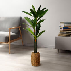 Vog und Arths Dracaena Fragrans műnövény 110-120 cm (11906)
