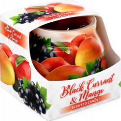 ADMIT Paraffin illatgyertya Miral 80 g Black Currant & Mango (1048)