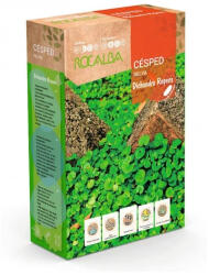 ROCALBA Dichondra évelő talajtakaró növény, kúszó pázsitszulák 250g Rocalba (8977)
