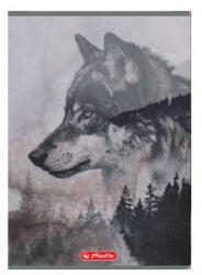 Herlitz sima füzet, Into The Wild, Farkas, A5/20-32 (H_2026_400212810_1)