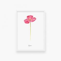 Empikfoto. ro Poster, Mac - ramă albă, 50x70 - 59647