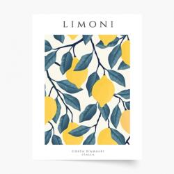 Empikfoto. ro Poster, Limoni Italia, 40x60 - 83186