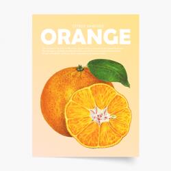 Empikfoto. ro Poster, Fruits - Orange, 21x30 - 111572