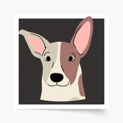 Empikfoto. ro Poster, Câini: Jack Russell, 40x40 - 82895