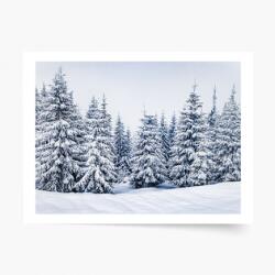 Empikfoto. ro Poster, Iarnă: Pădure, 60x40 - 83700