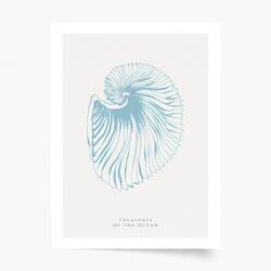 Empikfoto. ro Poster, Seashells blue, 70x100 - 83303