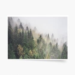 Empikfoto. ro Poster, Pădure: Wild, 80x60 - 83181