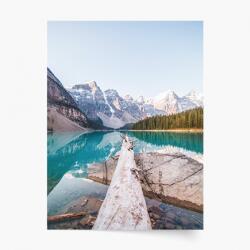 Empikfoto. ro Poster, Munții Tatra: Copac, 21x30 - 111236