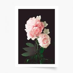 Empikfoto. ro Poster, Flori: Bujori 2 , 30x40 - 82955