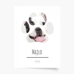 Empikfoto. ro Poster, Animalul tău de companie - câine, 40x50 - 126506