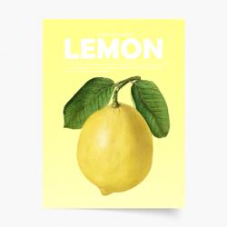 Empikfoto. ro Poster, Fruits - Lemon, 30x40 - 64808