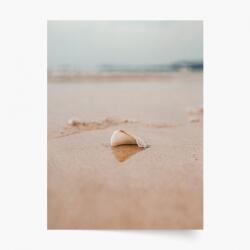 Empikfoto. ro Poster, Mare: Scoică, 70x100 - 83529