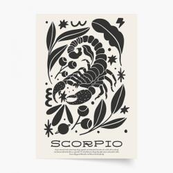 Empikfoto. ro Poster, Scorpion, 21x30 - 111762