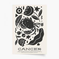 Empikfoto. ro Poster, Rac, 70x100 - 82295