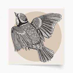 Empikfoto. ro Poster, Păsări: Păsărele 2, 30x30 - 82984