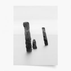 Empikfoto. ro Poster, Alb-negru: Copaci, 30x40 - 83214
