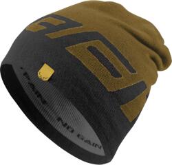 Dynafit Ft Beanie relic