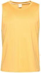 Chillaz Vils Mountain Logo Ochre - Потник XL