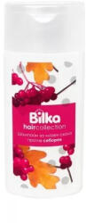 Bilka Sampon impotriva seborea si a parului gras Bio Bilka Bioaktiv 200ml (BIO339)