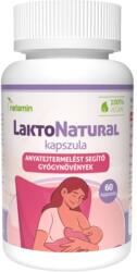 Netamin Capsule vegane pentru stimularea lactatiei LaktoNatural Netamin 60 buc (XTE202878)