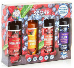 Bálint Csemegék Set siropuri Balint zmeura si cirese, portocala si mango, rodie si flavin 4x100 ml (XTE203562)