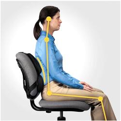 Fellowes Ergonomikus professzionális háttámla