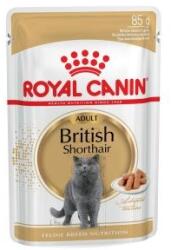  ROYAL CANIN Brit Rövidszőrű Kutyáknak 12x85g csomag