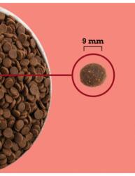 ACANA Highest Protein Indoor Cat - száraz macskaeledel - 1.8kg