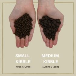 Eden Holistic Pet Foods Puppy Cuisine 80/20 Medium kibble - suché krmivo pro psy - 2kg