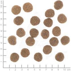 Wolfsblut VetLine Weight Management pulyka száraz kutyatáp - 12 kg