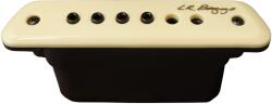 L. R. Baggs M1