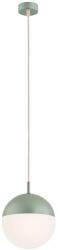 Argon 8999 - Lampă suspendată de exterior pe cablu LIV, 1xE27/15W/230V, IP44, verde (AR8999)