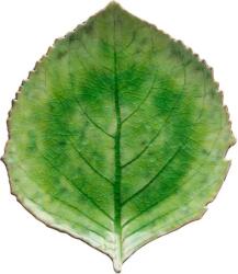 COSTA NOVA Hydrangea Leaf Riviera 21, 8 x 19, 1 cm, világoszöld (VEP221-TMT)