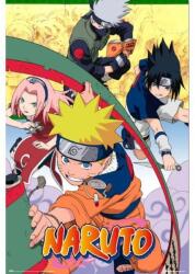 Grupo Erik Naruto: Team - poszter (GPE6020)