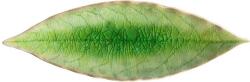 COSTA NOVA Riviera Laurel Leaf 18 cm-es világoszöld