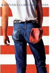 Pyramid Bruce Springsteen: Born in the USA (PP2510354)