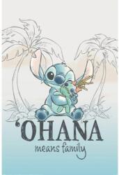 Pyramid Disney Lilo & Stitch Ohana (PP2510558)
