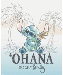 Pyramid Disney Lilo & Stitch Ohana Means Family (MPP2501534)