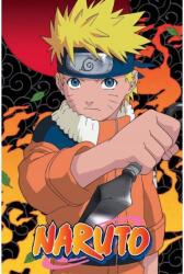 Pyramid Naruto: Ninja (PP2511253)