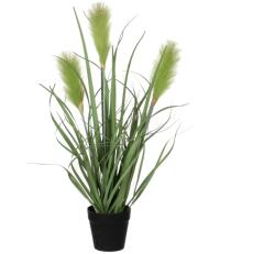 Mica Decorations Műnövény sás cserépátmérő 10 cm magasság 53 cm átmérő 30 cm (1005556)
