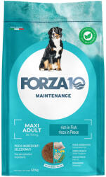 FORZA10 12kg Forza 10 Maxi Maintenance hal száraz kutyatáp