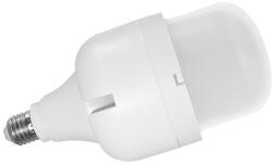 2R LED CAP GLOBE T80 E27 20W 6500K fényforrás (L101308003) - mystock